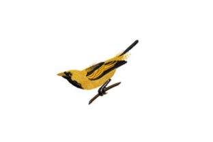 Golden Haired Flycatcher: A Craft Fair Review