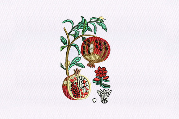 Vines Pomegranate: A Designer Review for Business Merch